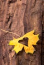 Autumn Leaves Heart. Autumn Leaves On Wood Background