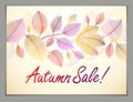 Autumn leaves horizontal background, nature fall template for de Royalty Free Stock Photo