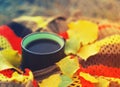 Autumn leaves, hot cup of coffee and bright warm scarf