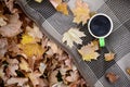 Autumn leaves and hot steaming cup of coffee lies on checkered plaid outdoors