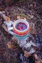 Autumn leaves and hot steaming cup of herbal tea with berries in woolen coat. Fall season, leisure time and tea time break concept