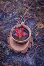 Autumn leaves and hot steaming cup of herbal tea with red leave on wooden stand. Fall season, leisure time and tea time break conc