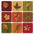 Autumn leaves icon. Red, yellow and green leaves of forest trees. Are used as buttons for web design Royalty Free Stock Photo