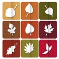 Autumn leaves icon. Red, yellow and green leaves of forest trees. Are used as buttons for web design Royalty Free Stock Photo