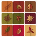 Autumn leaves icon. Red, yellow and green leaves of forest trees. Are used as buttons for web design Royalty Free Stock Photo