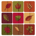 Autumn leaves icon. Red, yellow and green leaves of forest trees. Are used as buttons for web design Royalty Free Stock Photo