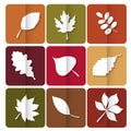 Autumn leaves icon. Red, yellow and green leaves of forest trees. Are used as buttons for web design Royalty Free Stock Photo