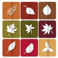 Autumn leaves icon. Red, yellow and green leaves of forest trees. Are used as buttons for web design Royalty Free Stock Photo