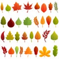 Autumn leaves icons set, cartoon style Royalty Free Stock Photo