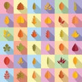 Autumn leaves icons set flat vector. Autumn leaf Royalty Free Stock Photo