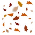 Autumn leaves isolated on white background. Falling blur leaves vector illustration