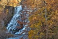 Autumn leaves at Ithaca falls in rural New York