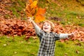 Autumn leaves kid. Autumn outdoor portrait of cute happy child boy walking in park or forest in warm knitted Clothing.