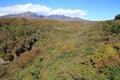 Autumn leaves in Kiyosato highland, Yamanashi