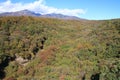 Autumn leaves in Kiyosato highland, Yamanashi