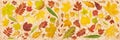 Autumn leaves on kraft paper. Top view, flat lay. Colorful tree fallen leaf pattern. Fall season banner background Royalty Free Stock Photo