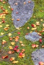 Autumn leaves in Kyoto, Japan Royalty Free Stock Photo