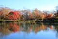 Autumn leaves by lake in Kiyosato highland