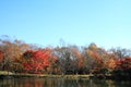 Autumn leaves by lake in Kiyosato highland