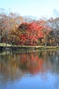 Autumn leaves by lake in Kiyosato highland