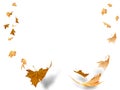 Autumn leaves leaf background isolated flying on the wind air space for your text Royalty Free Stock Photo