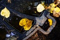 Autumn leaves lie on a metal manhole. Close-up. Flat lay frame Royalty Free Stock Photo