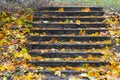 autumn leaves lie on the stone steps of the stairs. Royalty Free Stock Photo