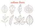 Autumn leaves line art set, isolated on white background. Simple cartoon flat style, vector illustration. Royalty Free Stock Photo