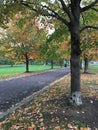 Fall colors along a walkway Royalty Free Stock Photo