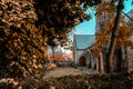 Autumn leaves in a local church yard