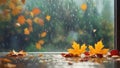 Autumn leaves lying on the surface on a blurred background of falling rain. Space for text