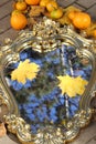 Autumn leaves of a maple on a mirror in sky reflexion Royalty Free Stock Photo