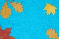 Autumn leaves of maple and oak on a colored background Royalty Free Stock Photo