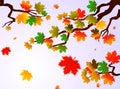 Autumn leaves of maple tree and blue sky background. Royalty Free Stock Photo