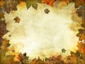 Autumn leaves melancholy vintage background Royalty Free Stock Photo