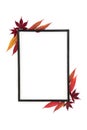 Autumn Leaves Minimal Abstract Background Border