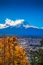 Autumn leaves of Mount Fuji, Yamanashi Prefecture in Japan Royalty Free Stock Photo