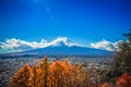 Autumn leaves of Mount Fuji, Yamanashi Prefecture in Japan Royalty Free Stock Photo