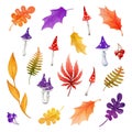 Autumn leaves and mushrooms cartoon style set. Watercolor painted illustration. Hand drawn fall season leaf and mushroom