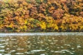 Autumn leaves near river Royalty Free Stock Photo