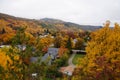 Autumn Leaves, New Zealand