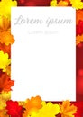 Autumn leaves background