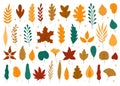 Autumn leaves. Oak, maple, elm dry fallen leaf. Hand drawn fall forest yellow or red foliage. Dried plant leaves Royalty Free Stock Photo