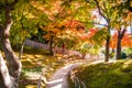 Autumn leaves in Okayama castle park, Japan Royalty Free Stock Photo