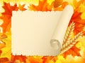 Autumn Leaves With Old Paper Scroll Vector