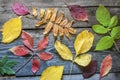 Autumn leaves on old wooden planks background