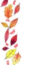 Autumn Leaves Outline Drawing With Watercolor