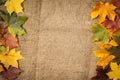 Autumn Leaves over Burlap background Royalty Free Stock Photo