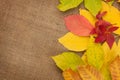 Autumn leaves over burlap texture background Royalty Free Stock Photo