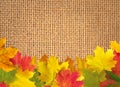 Autumn leaves over linen texture background Royalty Free Stock Photo